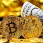 Digital Currencies and Dollar Alternatives: Global Overview and Critical Analysis.